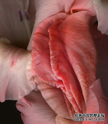 最美的女性生殖器图片 11种花样形态美到暴！-10